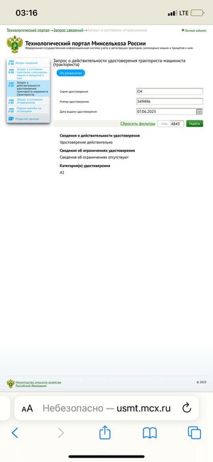IMG_0310.jpeg