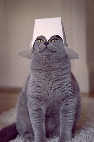 1407591741_7638010-r3l8t8d-650-tumblr_lz7fkvargg1roo7opo1_1280.jpg