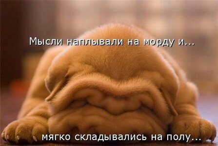 image.jpeg