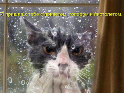 Снимок экрана от 2016-09-13 10:29:56.png