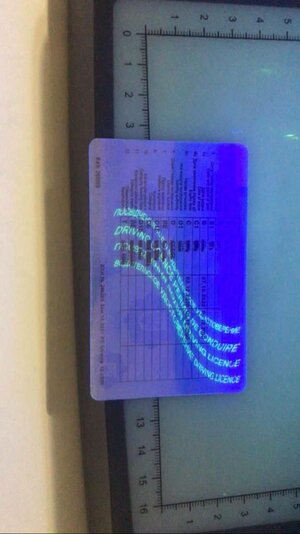 IMG_3301.jpeg