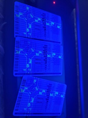 IMG_3376.jpeg