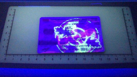 IMG_3395.jpeg