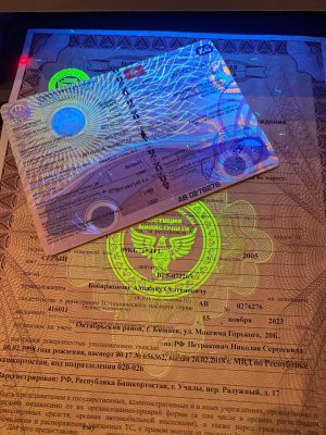 IMG_5106.jpeg