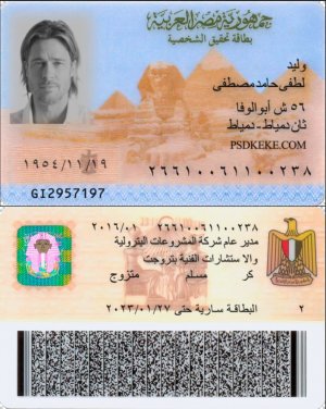 Egypt id card.jpg
