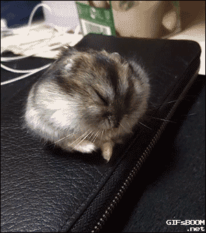 doc163303017_437839997.gif