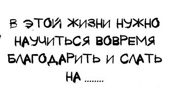 dPkIcki9asY.jpg