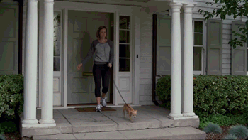 гифки-орел-песочница-597042.gif