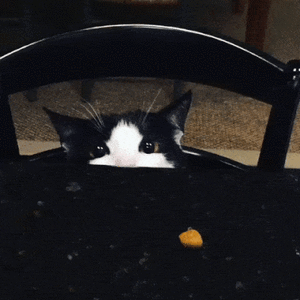 https__vk_com_gif_fak.gif