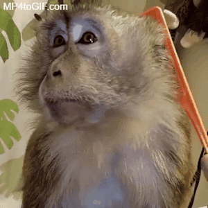 vgif-ru-24478.gif