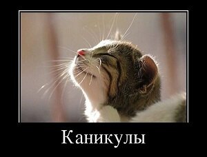 Stimka.ru_1336558850_x0pcggkz0fyjarex.jpg