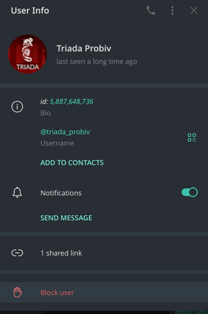 1740768250972.png