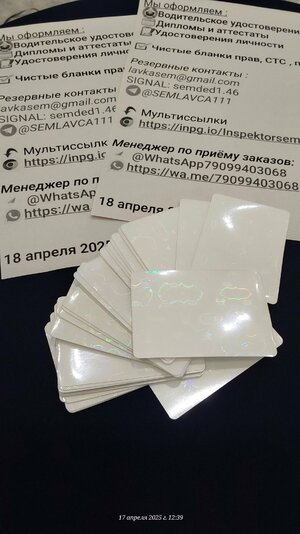 20250417_123907.jpg
