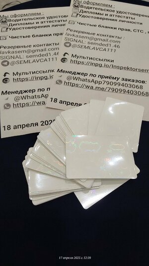 20250417_123904.jpg