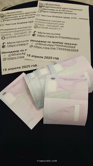 20250417_123828.jpg