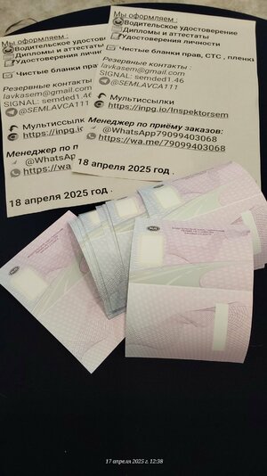 20250417_123827.jpg