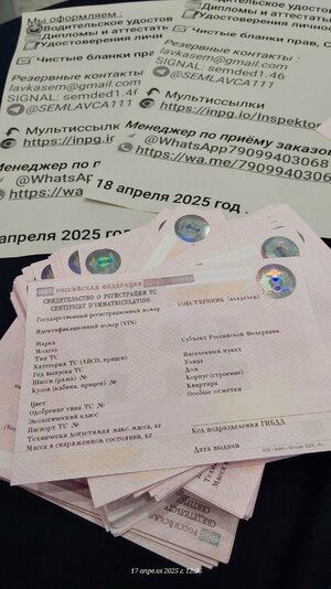20250417_123645.jpg