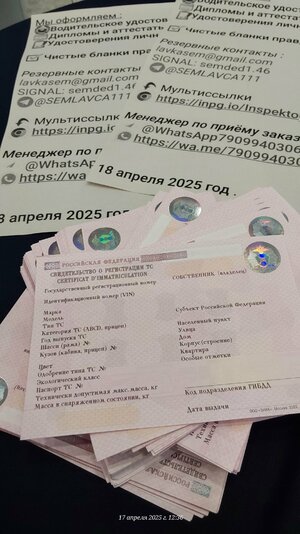 20250417_123644.jpg