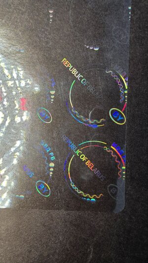 IMG_20250313_114910_942.jpg