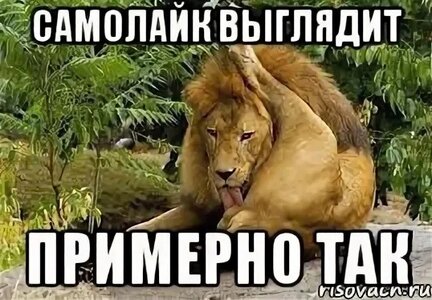 3LwHIlFFh4k.jpg