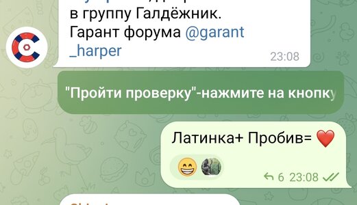 Screenshot_20250501_231206_org_telegram_messenger_LaunchActivity.jpg