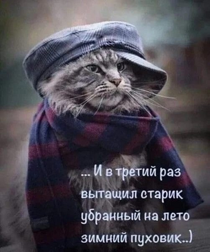 1746281958144.png