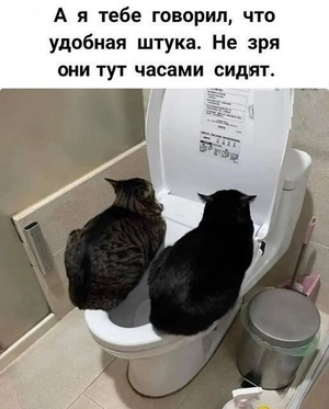 1746341675652.png
