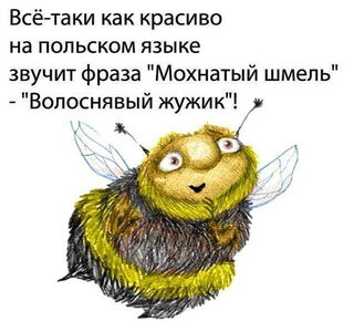 1747035284.jpg