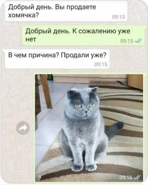 1747380165996.png