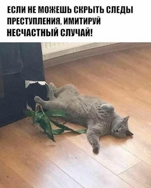 1747380187807.png