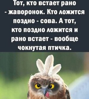 Снимок.JPG