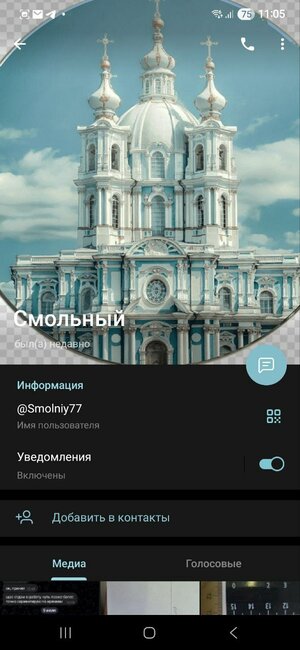 Смольный.jpg