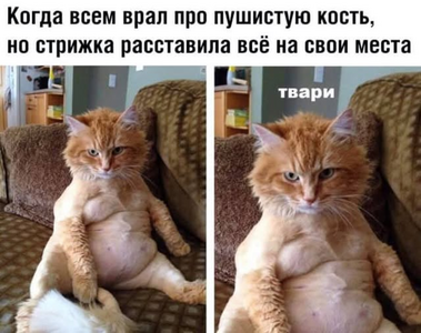 1752562071239.png