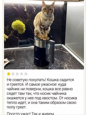 1752992960294.png