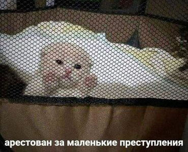 nwuCVA15feDZ68LOZCFRUi8EDr9A3UwYn8EUJGLhmSfxrOzuzafW3xZt0ea9ACL0e-IGQqBLuGjz_soTKFxLH0rT.jpg