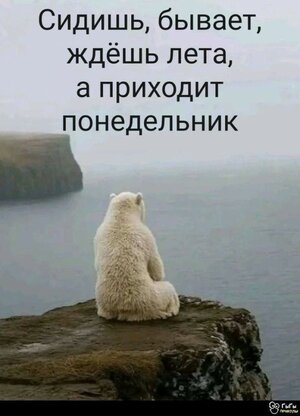 1754283628727.jpeg