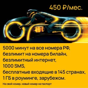 Изображение WhatsApp 2025-08-04 в 16.04.26_74a1dbbc.jpg