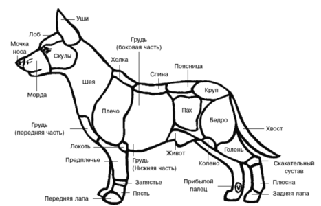 1754496844360.png