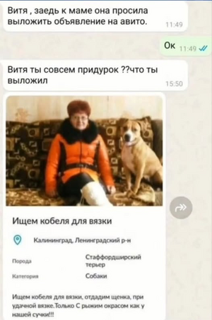 1754731145402.png