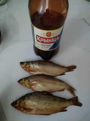 IMG20250811112434.jpg