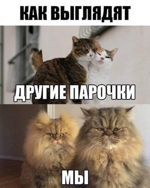 1755243312812.png