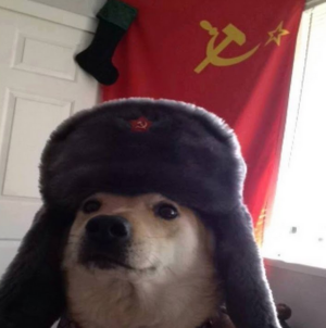 1755277882701.png