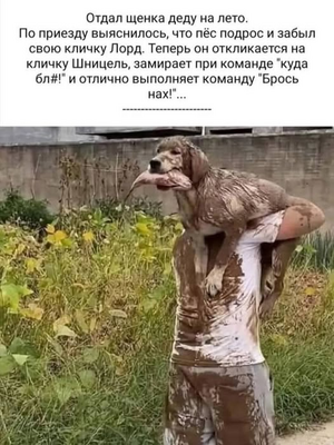 1755345084762.png