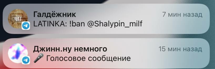 скрин 2.jpg