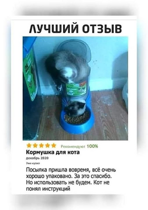 1755931592990.png