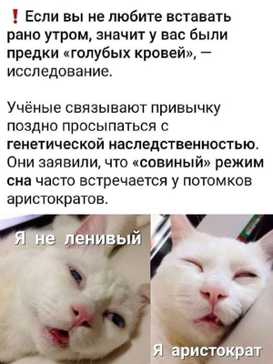 1756194248871.png