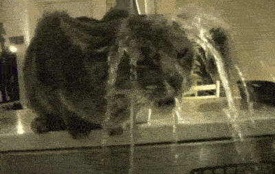 _yapfiles.ru.gif