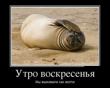 IMG_0183.JPG