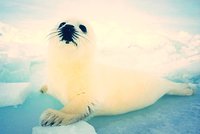 IMG_0287.JPG
