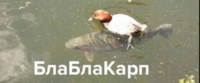Screenshot (61).png
